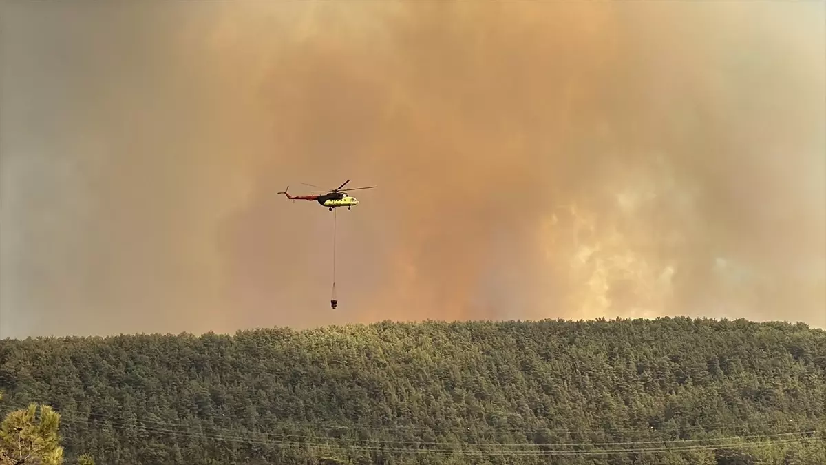 alanyada orman yangini mahalle bosaltildi p1xwRr9w