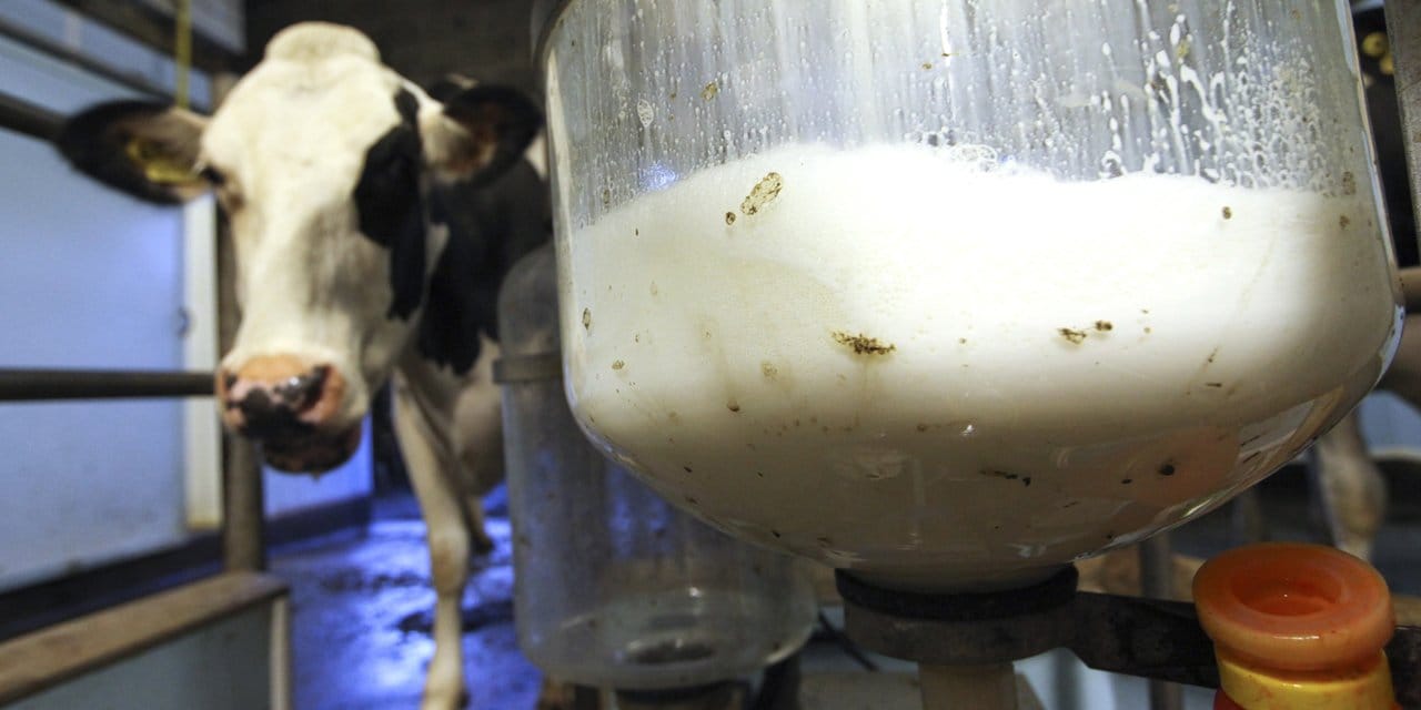 cig sut fiyatlarina zam geldi iki ay sonra yeniden artabilir PzLLsl9O