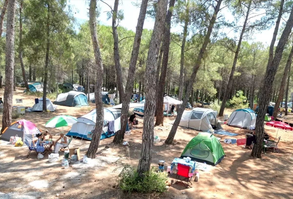 akyaka orman kampina yogun ilgi GJKaMpS4